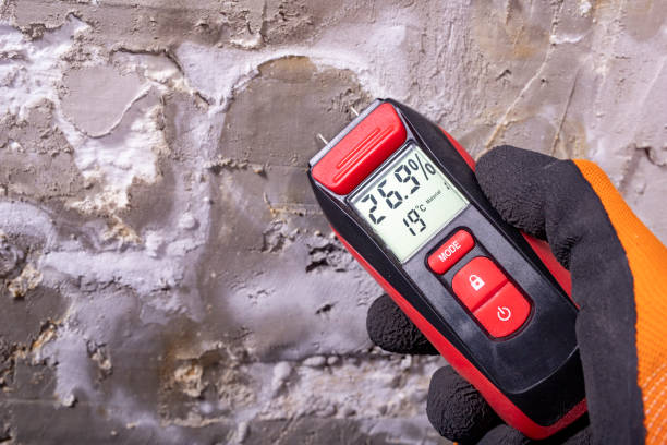 Best Water Damage Restoration  in Westby, WI