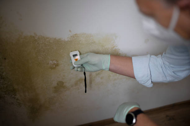 Best Crawl Space Mold Removal  in Westby, WI