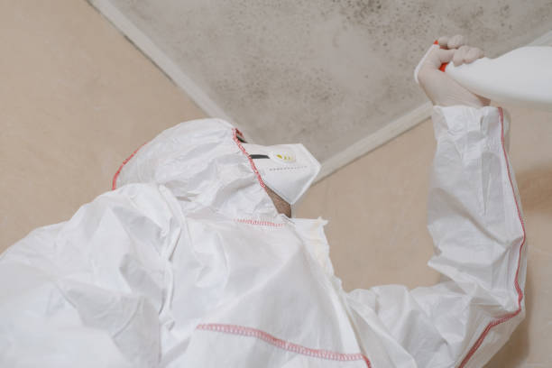 Best Affordable Mold Removal  in Westby, WI