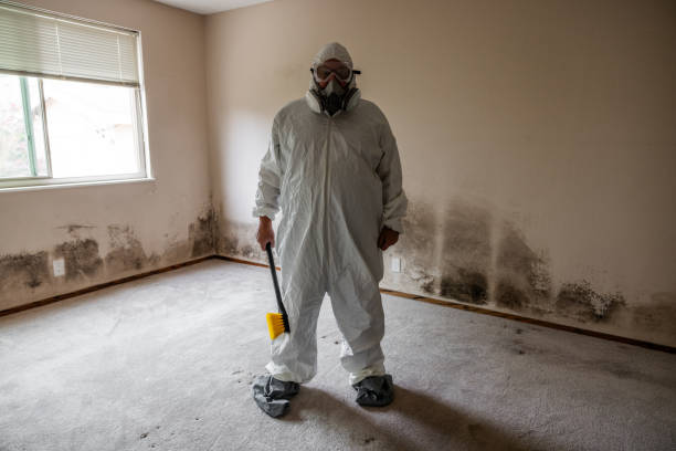 Best Mold Cleaning Services  in Westby, WI